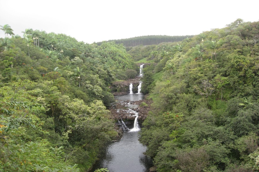 ../image/world botanical gardens - umauma falls 7.jpg